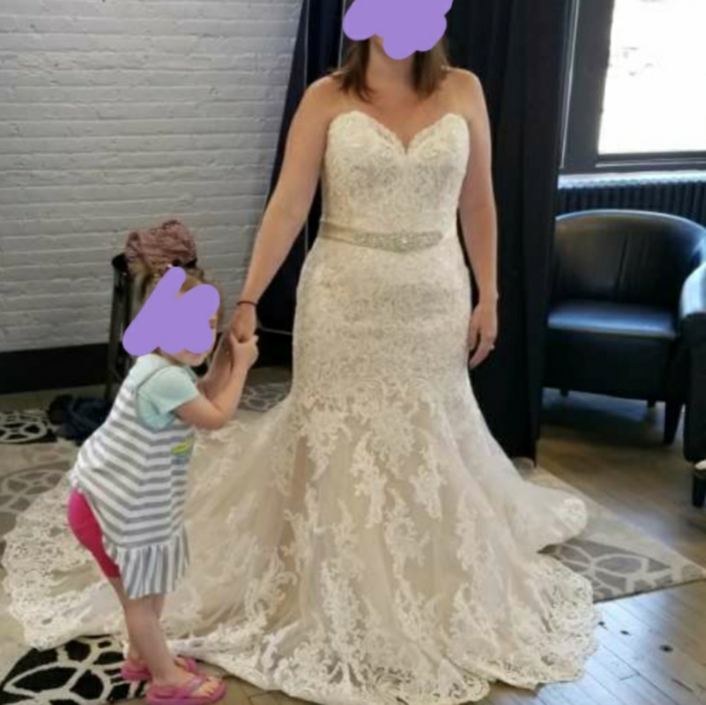 Allure bridal gown